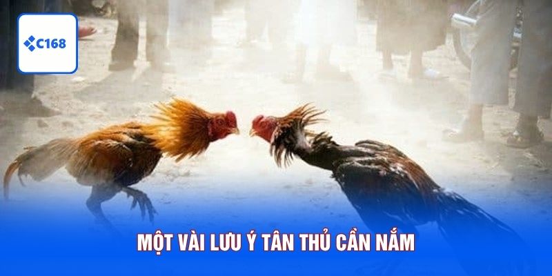 Một vài lưu ý tân thủ cần nắm